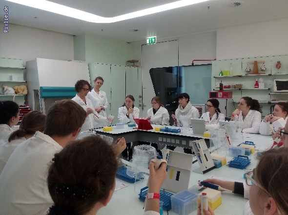 http://www.beruflichesgymnasium.de/pixlie/cache/vs_Phaeno 2017_4 Genlabor. Auch hier wird das Pipettieren gezeigt. Foto KALM.jpg